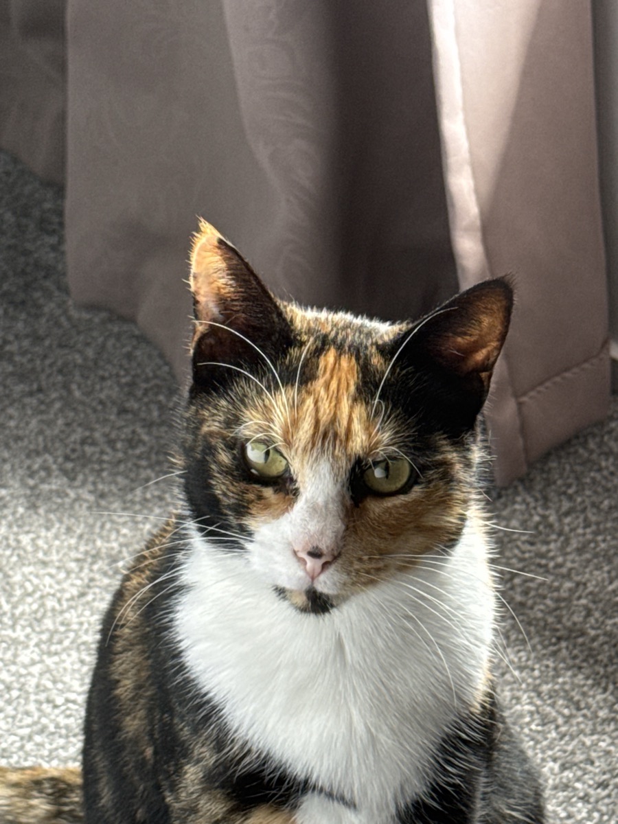 Close portrait of Maggie looking at the camera